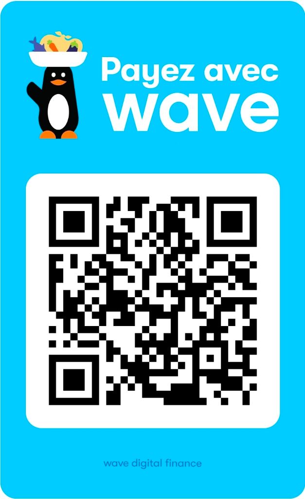 QR Code Wave — Sowhat Africa